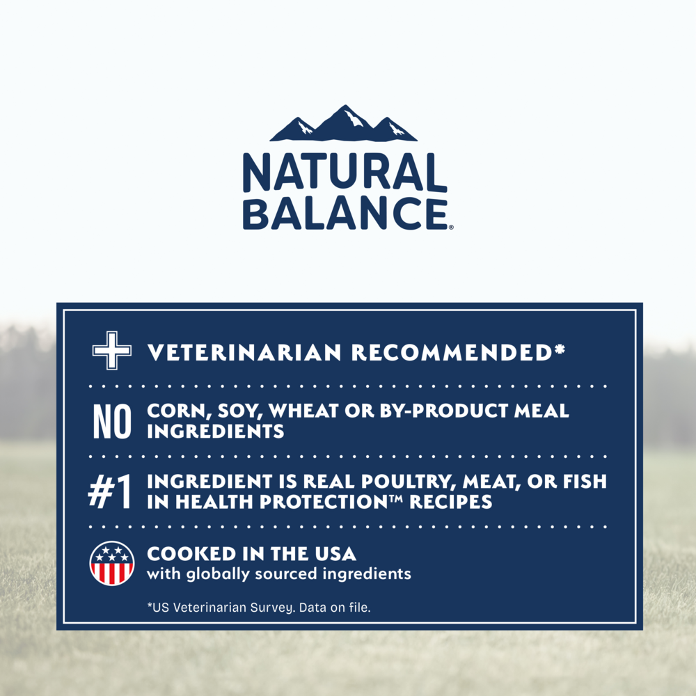 Natural Balance Health Protection Dry Dog Food, Salmon, Brown Rice & Pumpkin Recipe