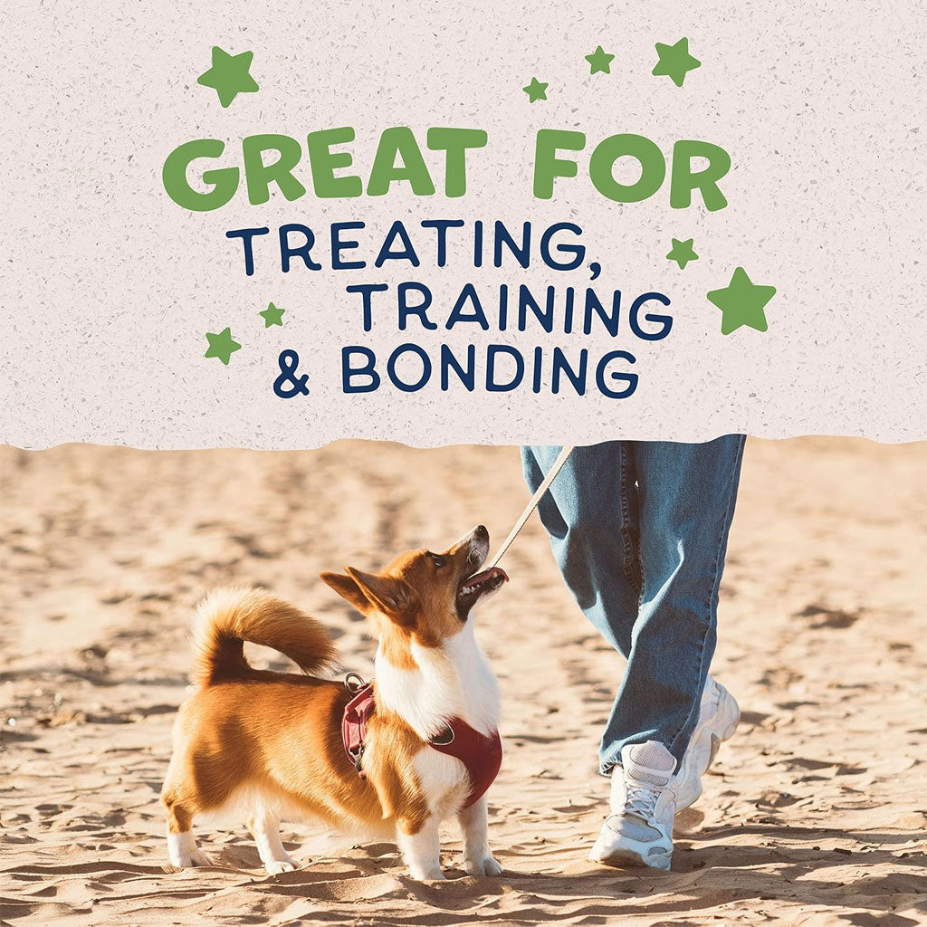 Natural Balance Pet Foods Rewards Bite-Size Crunchy Biscuits Small Breed Dog Treats Peanut Butter, 8-oz