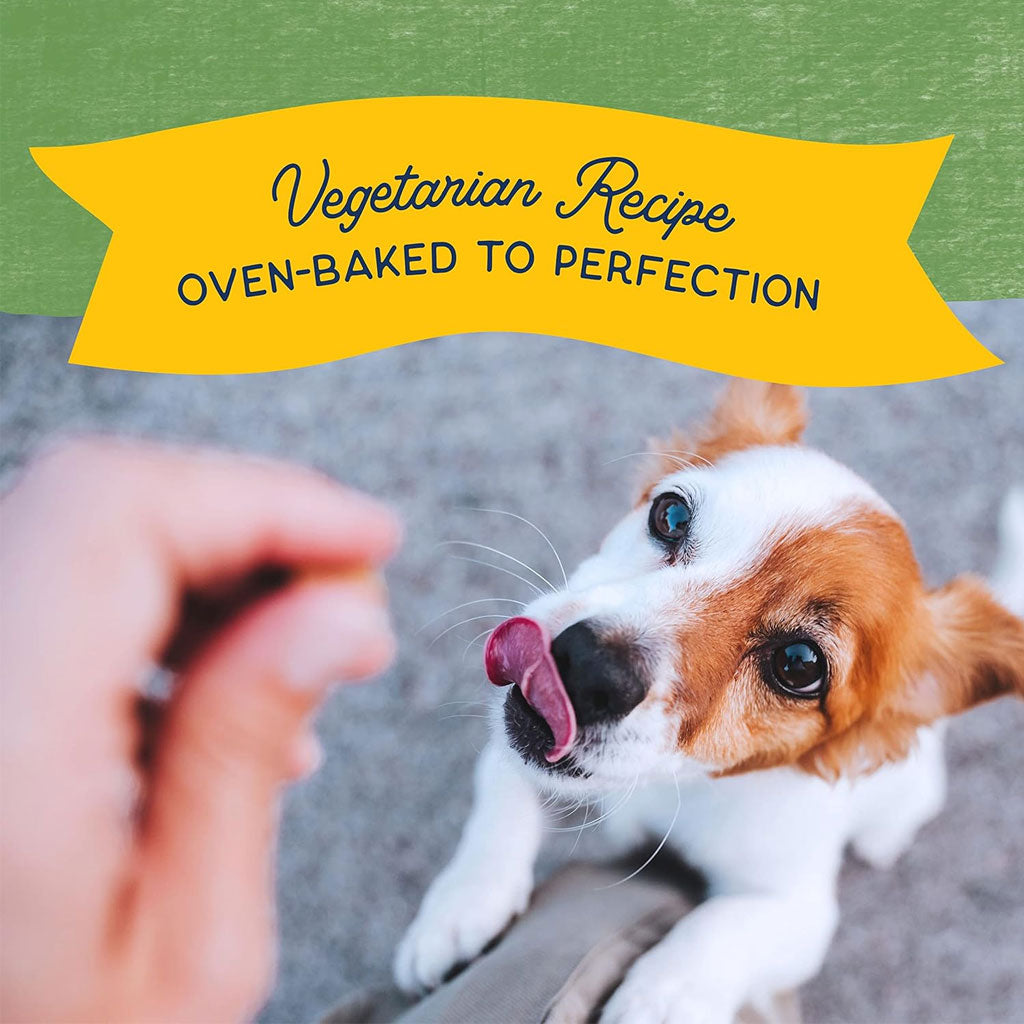Natural Balance Pet Foods Rewards Bite-Size Crunchy Biscuits Small Breed Dog Treats Peanut Butter, 8-oz
