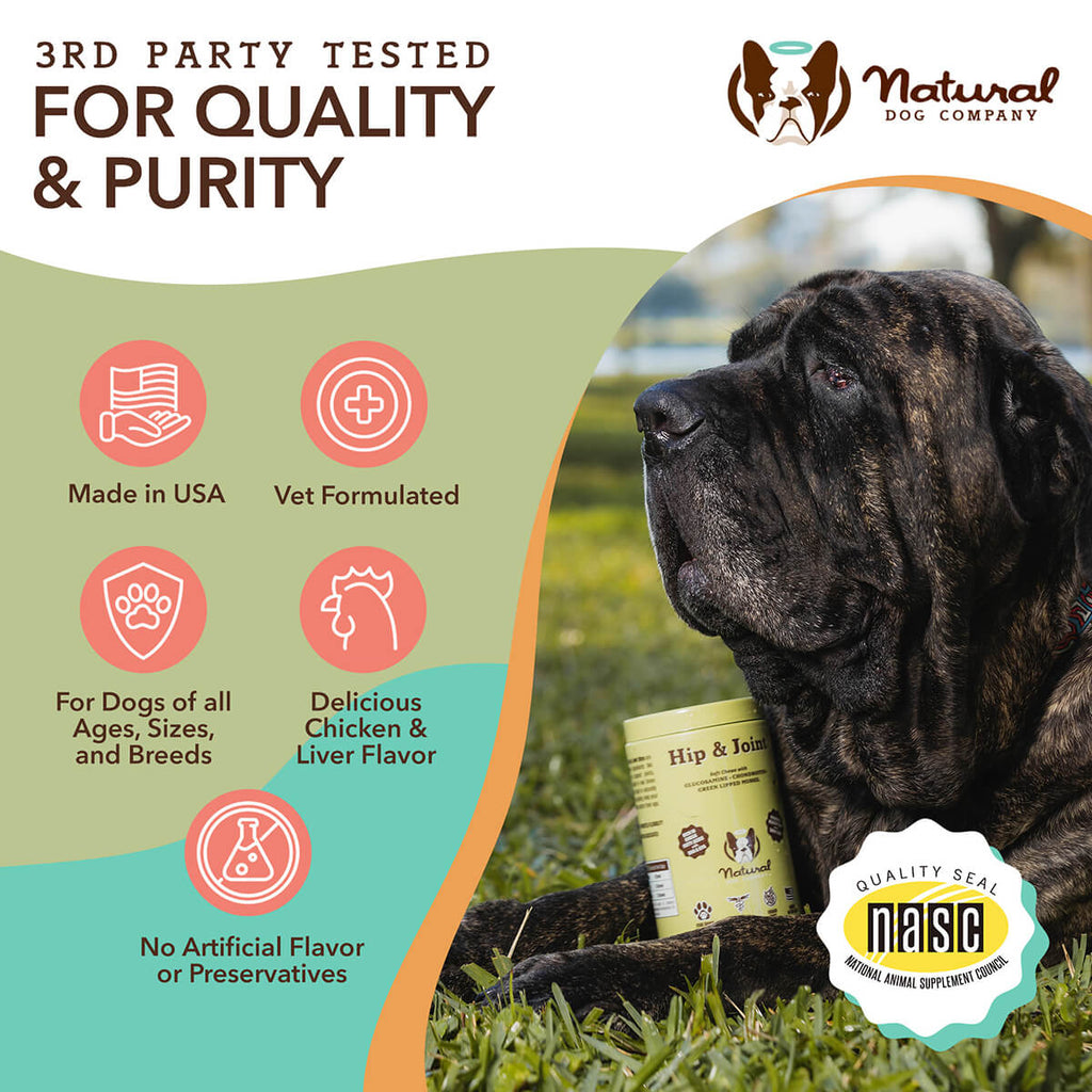 Natural Dog Company Hip & Joint Soft Chews for Dogs (90 Chews)