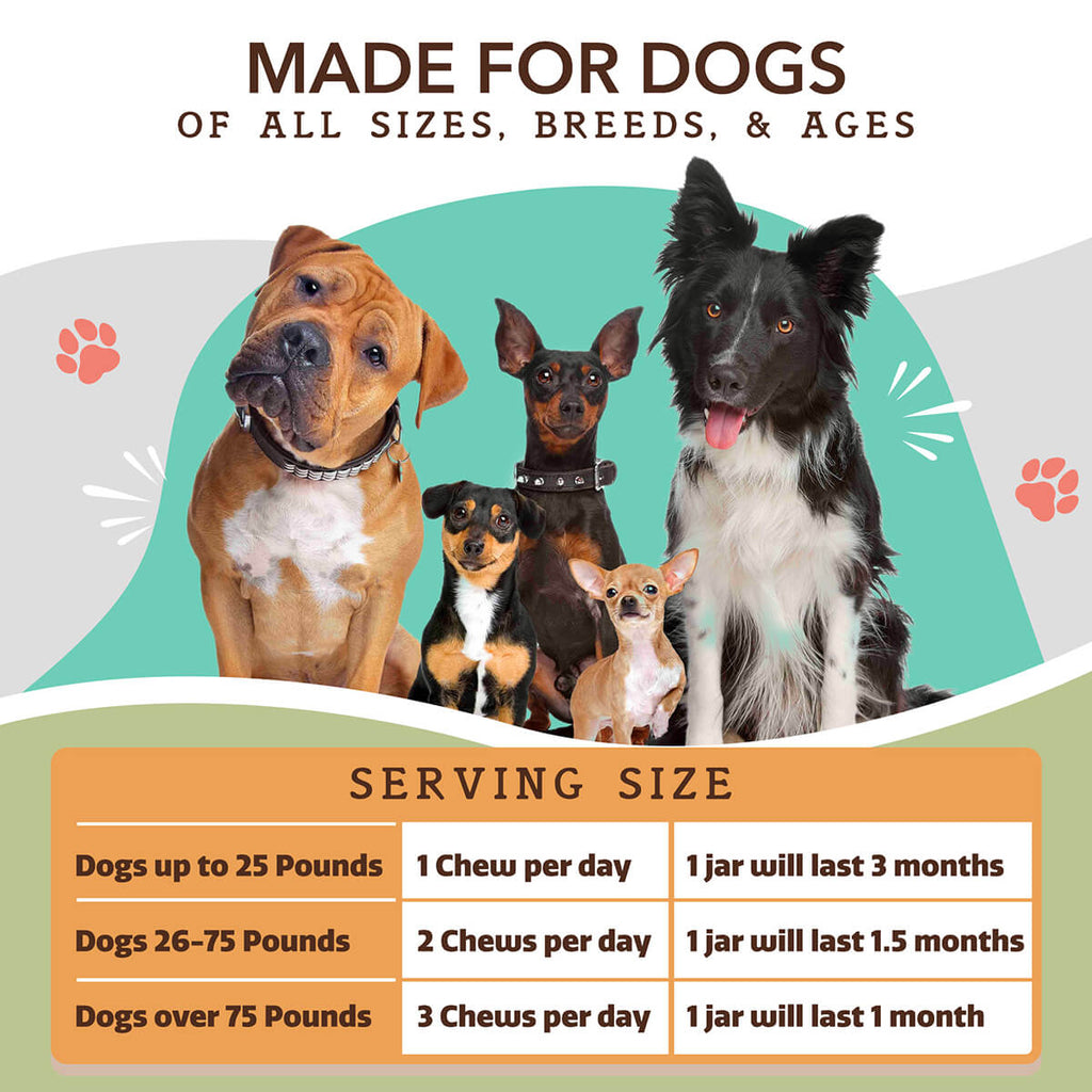 Natural Dog Company Hip & Joint Soft Chews for Dogs (90 Chews)