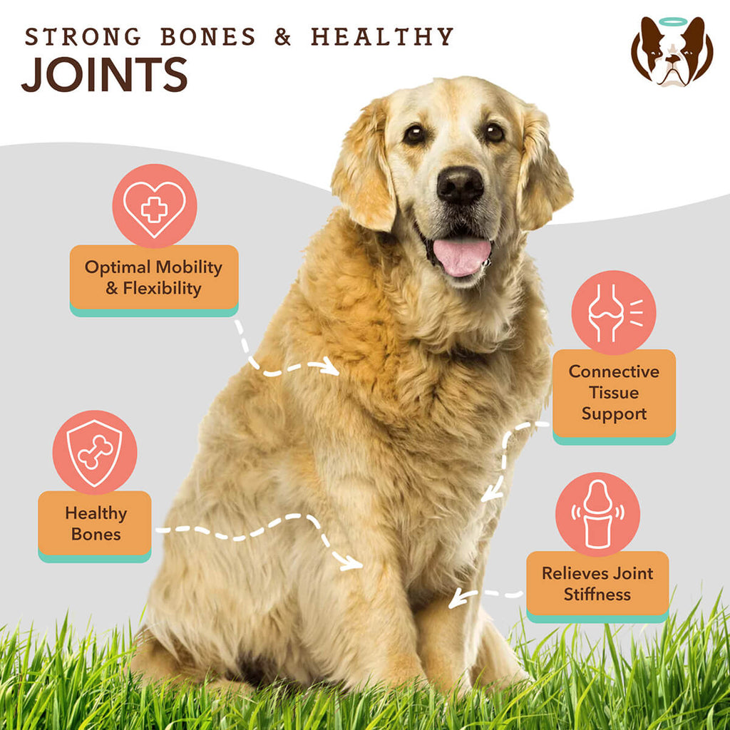 Natural Dog Company Liquid Glucosamine Hip & Joint Liquid Supplement (16 oz)