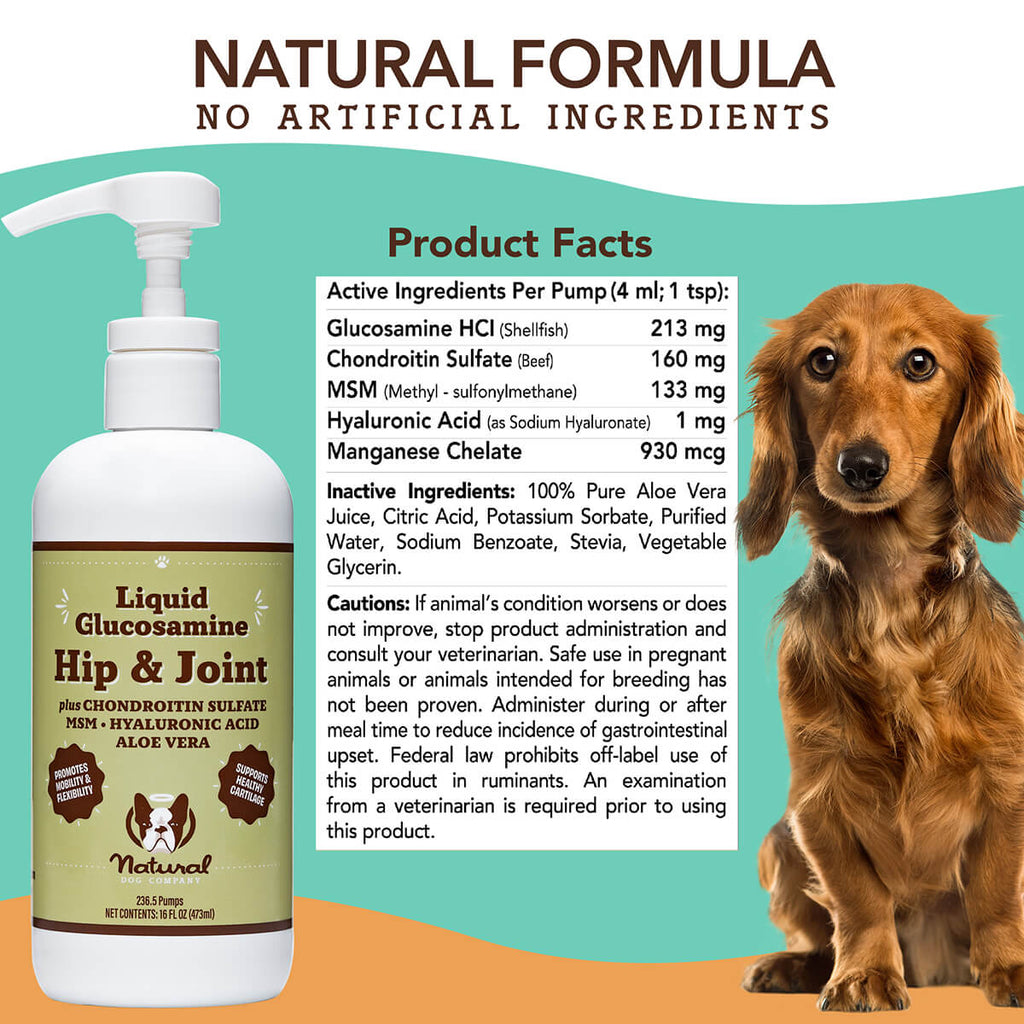 Natural Dog Company Liquid Glucosamine Hip & Joint Liquid Supplement (16 oz)