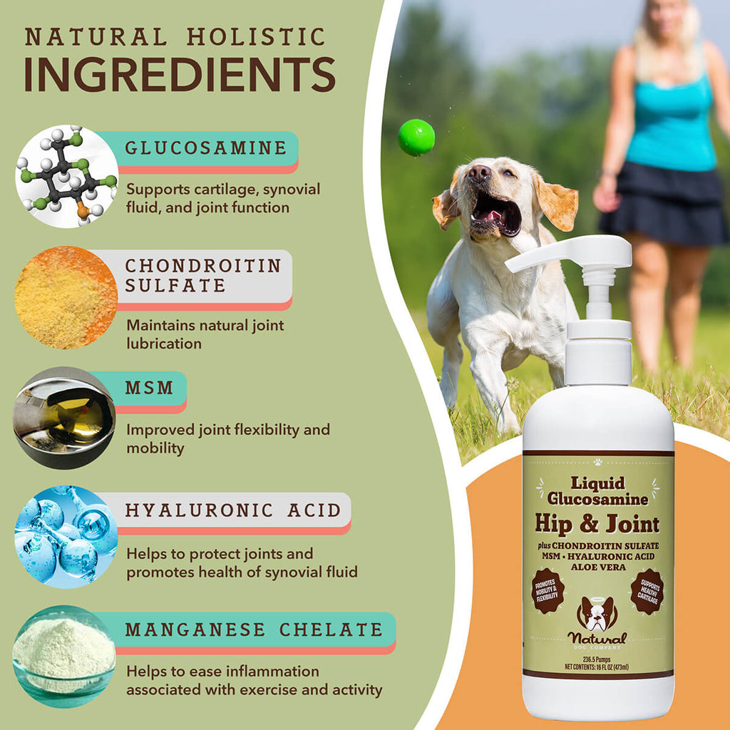 Natural Dog Company Liquid Glucosamine Hip & Joint Liquid Supplement (16 oz)