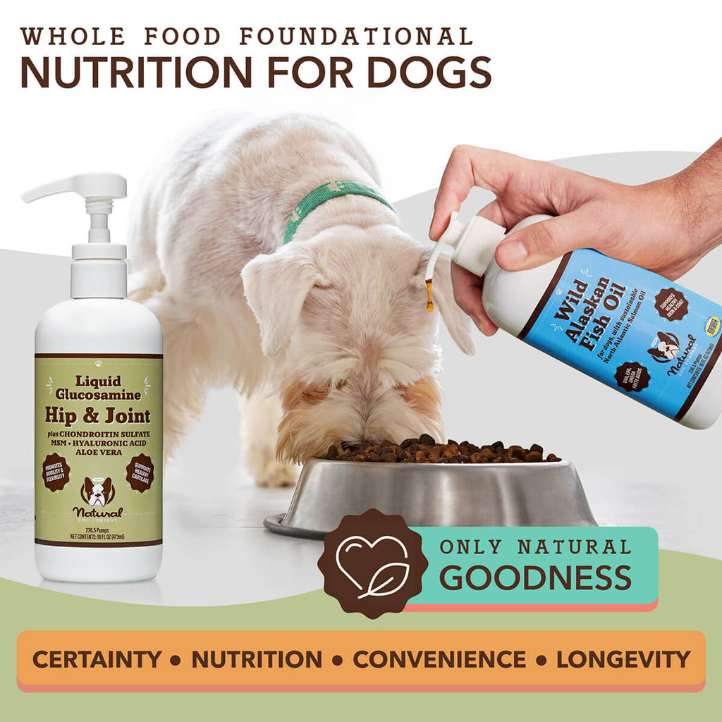 Natural Dog Company Liquid Glucosamine Hip & Joint Liquid Supplement (16 oz)