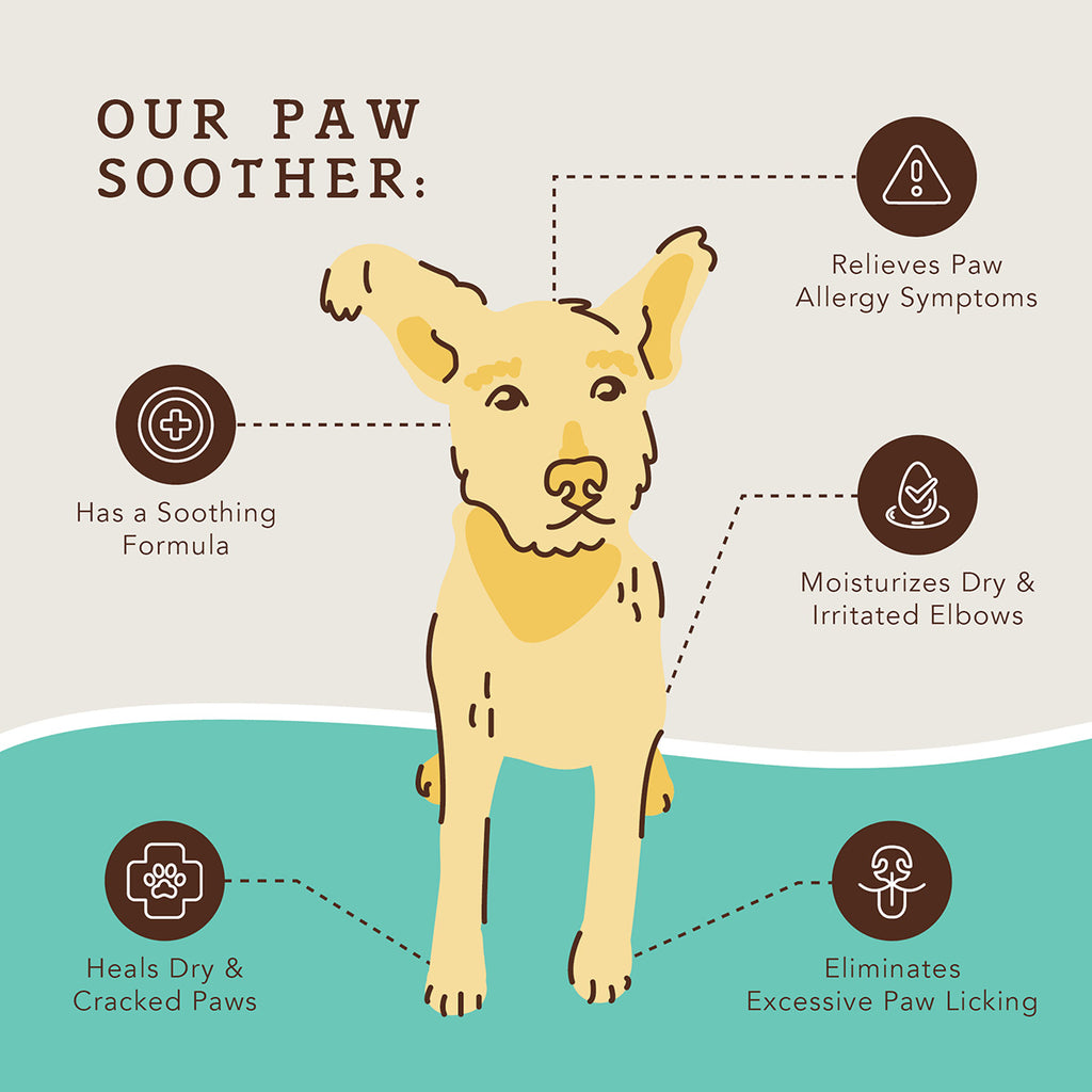 Natural Dog Company Paw Soother Stick (2 oz)