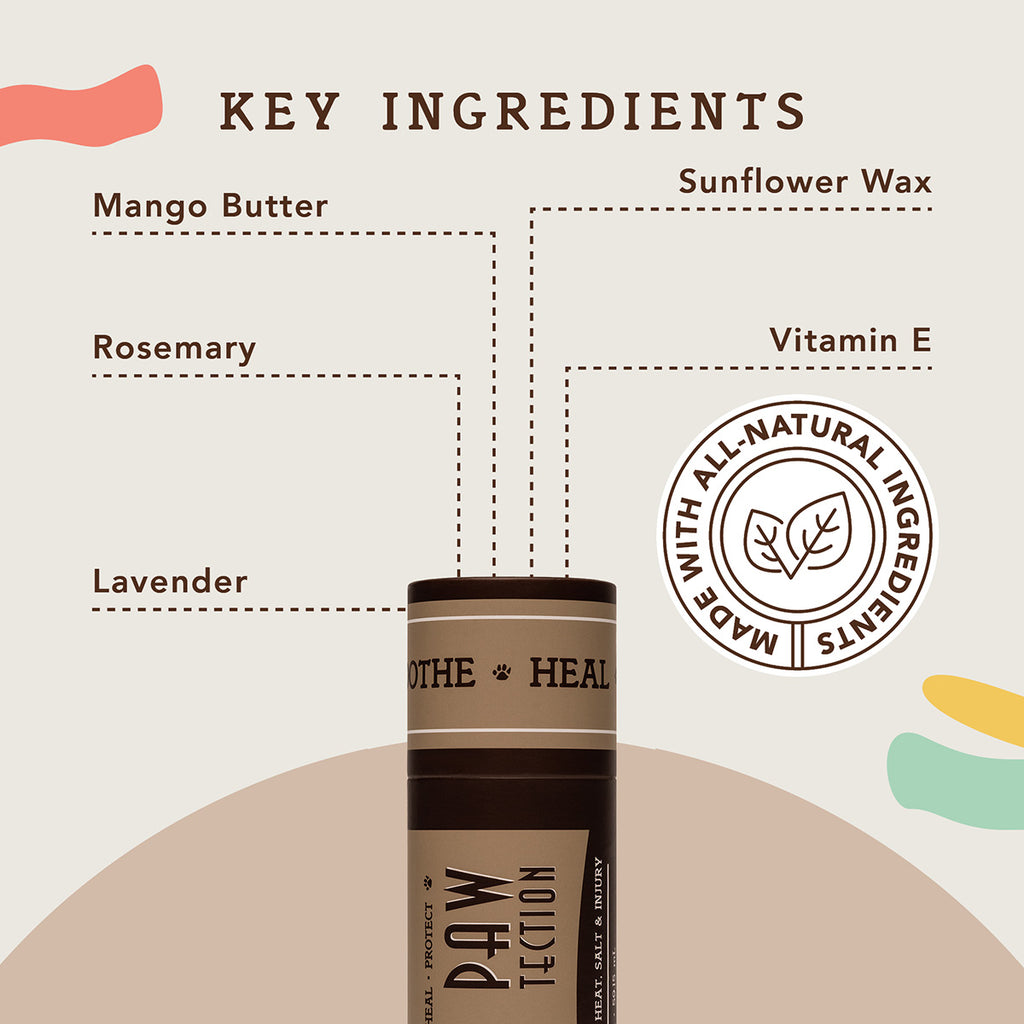 Natural Dog Company Paw-Tection Stick (2 oz)