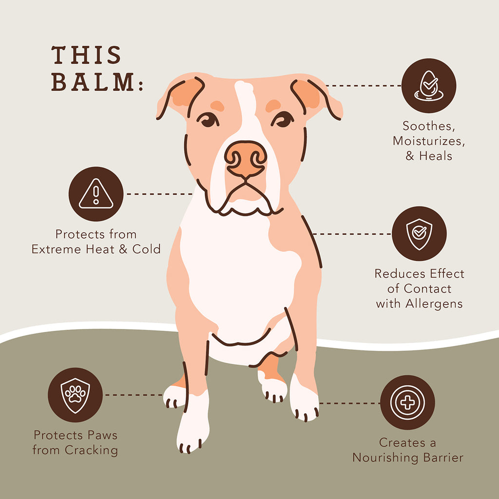 Natural Dog Company Paw-Tection Stick (2 oz)