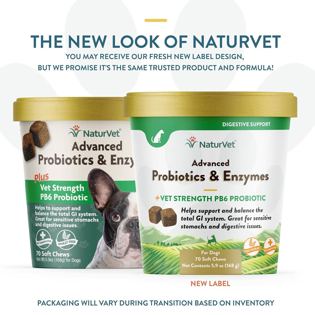 NaturVet Advanced Probiotics & Enzymes Soft Chews Plus Vet Strength PB6 Probiotic for Dogs, 70 count