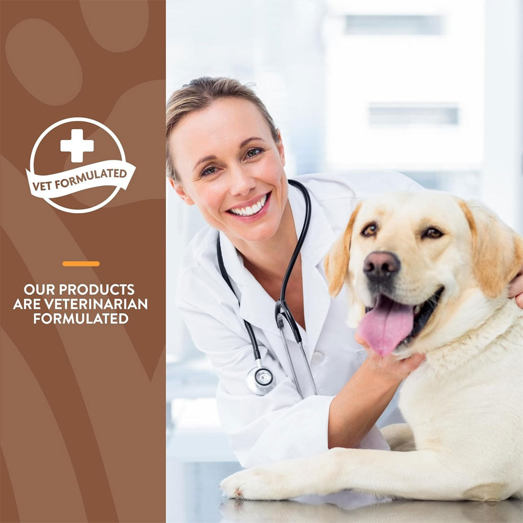 NaturVet All-In-One Daily Esentials Plus 4-in-1 Support for Dogs, 60 soft chews