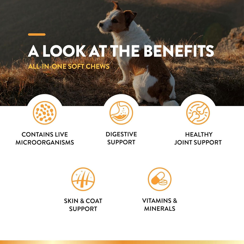 NaturVet All-In-One Daily Esentials Plus 4-in-1 Support for Dogs, 60 soft chews