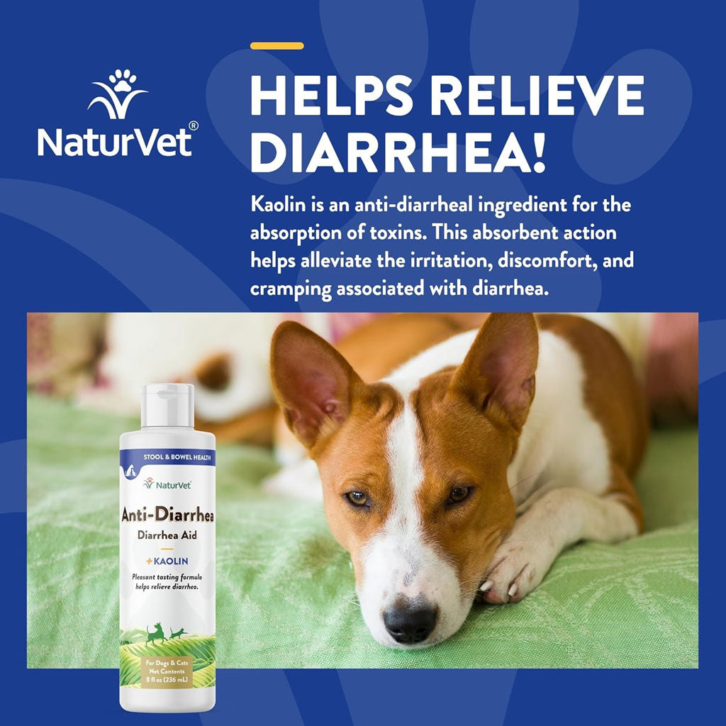 NaturVet Anti-Diarrhea Liquid Diarrhea Aid with Kaolin For Dogs  Cats, 8-oz