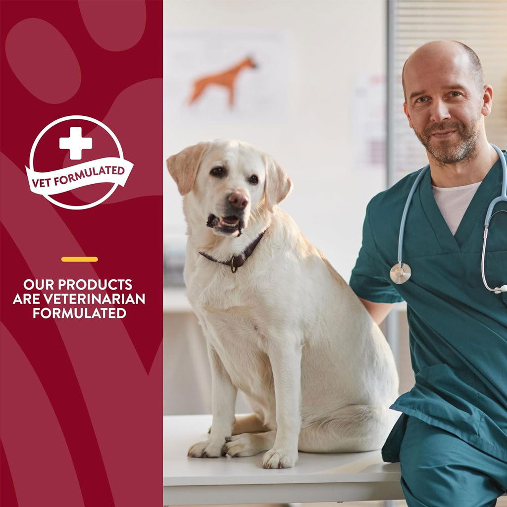 NaturVet Bladder Support Daily Maintenance with Cranberry Soft Chews for Dogs, 60 count