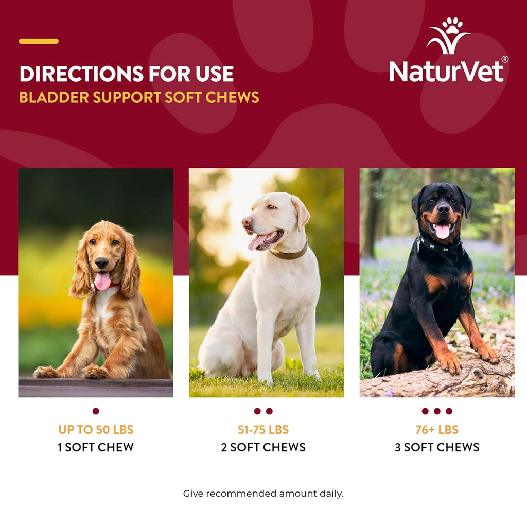 NaturVet Bladder Support Daily Maintenance with Cranberry Soft Chews for Dogs, 60 count