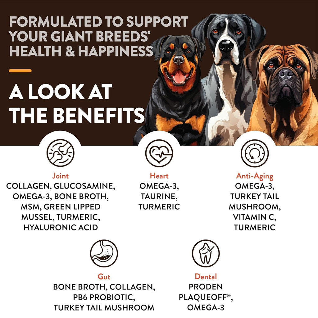 NaturVet Breed Specific Giant Breeds Supplement Soft Chews for Dogs, 50 count