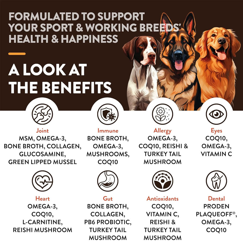 NaturVet Breed Specific Sport & Working Breeds Supplement Soft Chews for Dogs, 50 count
