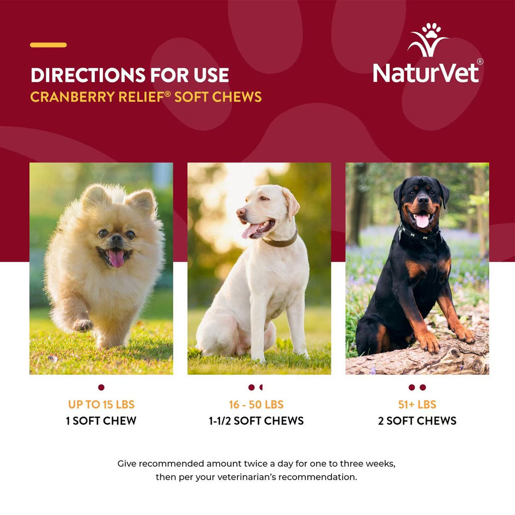 NaturVet Cranberry Relief Plus Echinacea Soft Chew Urinary Supplement for Dogs, 60 count