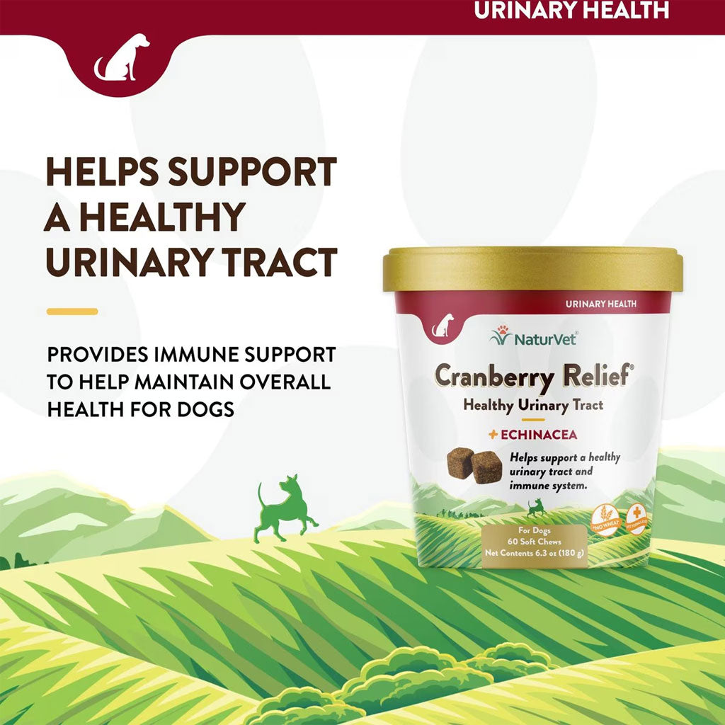 NaturVet Cranberry Relief Plus Echinacea Soft Chew Urinary Supplement for Dogs, 60 count