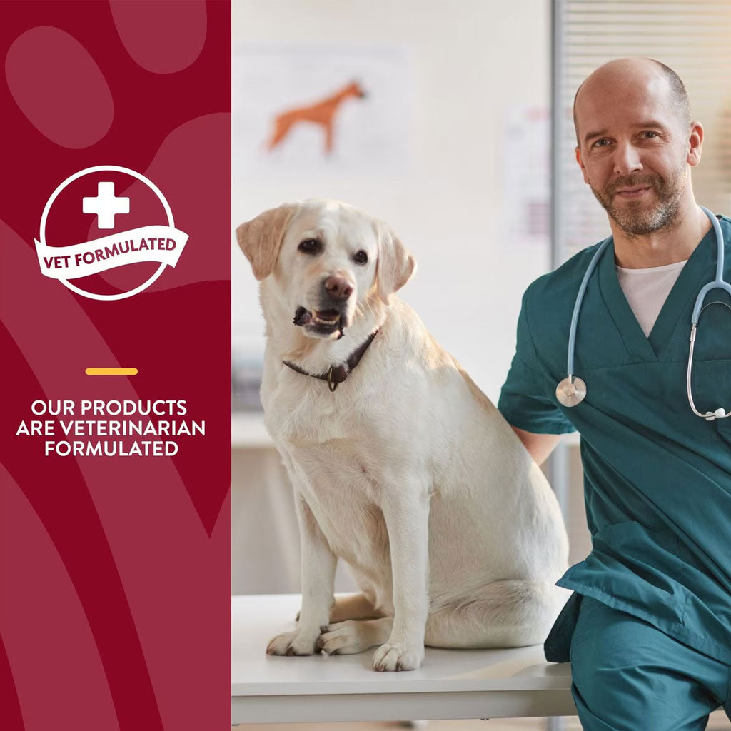 NaturVet Cranberry Relief Plus Echinacea Soft Chew Urinary Supplement for Dogs, 60 count