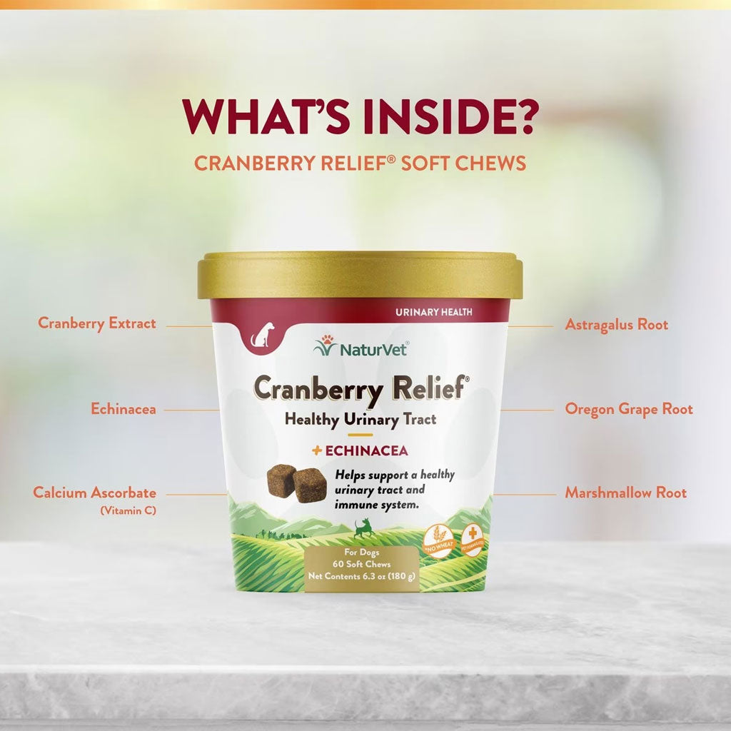 NaturVet Cranberry Relief Plus Echinacea Soft Chew Urinary Supplement for Dogs, 60 count