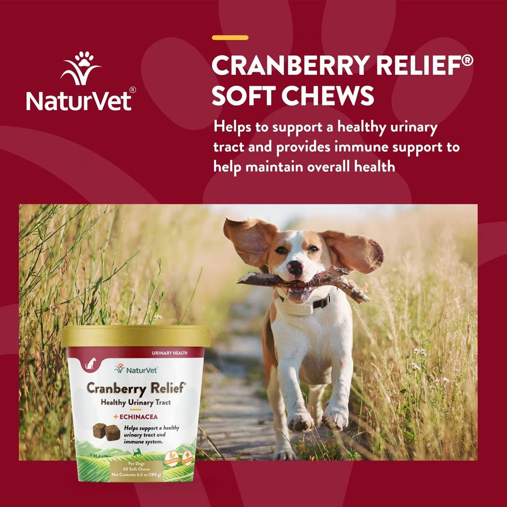 NaturVet Cranberry Relief Plus Echinacea Soft Chew Urinary Supplement for Dogs, 60 count