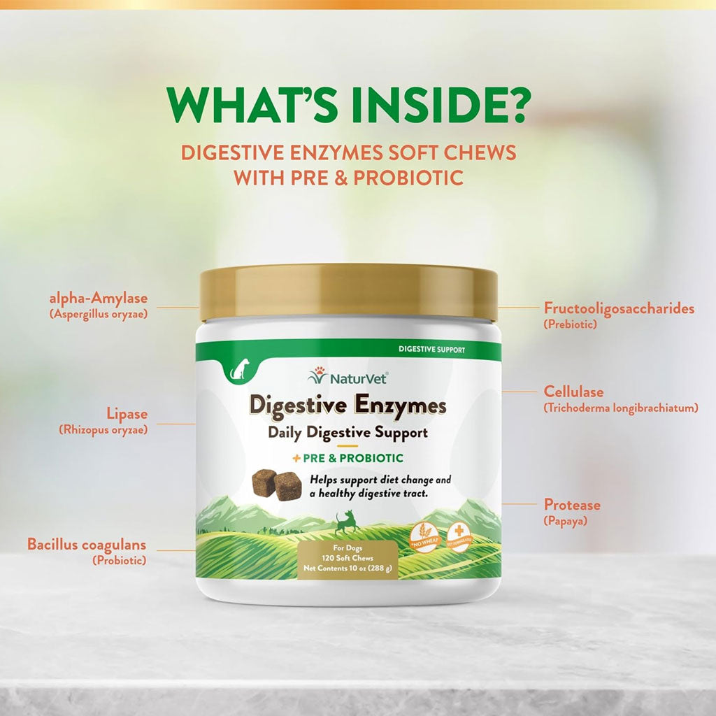 NaturVet Digestive Enzymes Soft Chews Daily Digestive Support Plus Pre & Probiotic for Dogs, 120 count