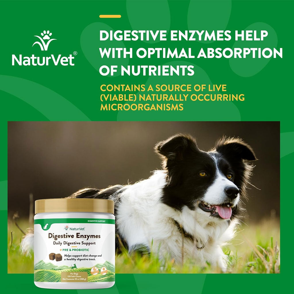 NaturVet Digestive Enzymes Soft Chews Daily Digestive Support Plus Pre & Probiotic for Dogs, 120 count