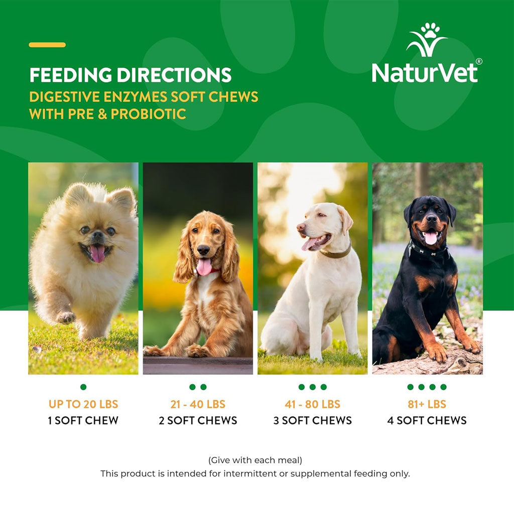 NaturVet Digestive Enzymes Soft Chews Daily Digestive Support Plus Pre & Probiotic for Dogs, 120 count