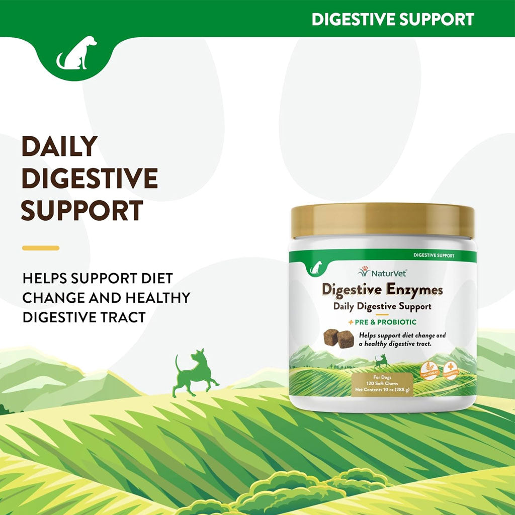 NaturVet Digestive Enzymes Soft Chews Daily Digestive Support Plus Pre & Probiotic for Dogs, 120 count