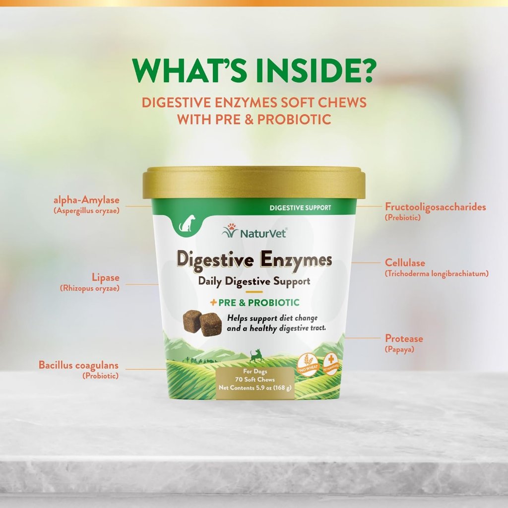 NaturVet Digestive Enzymes Soft Chews Daily Digestive Support with Pre & Probiotic for Dogs, 70 count
