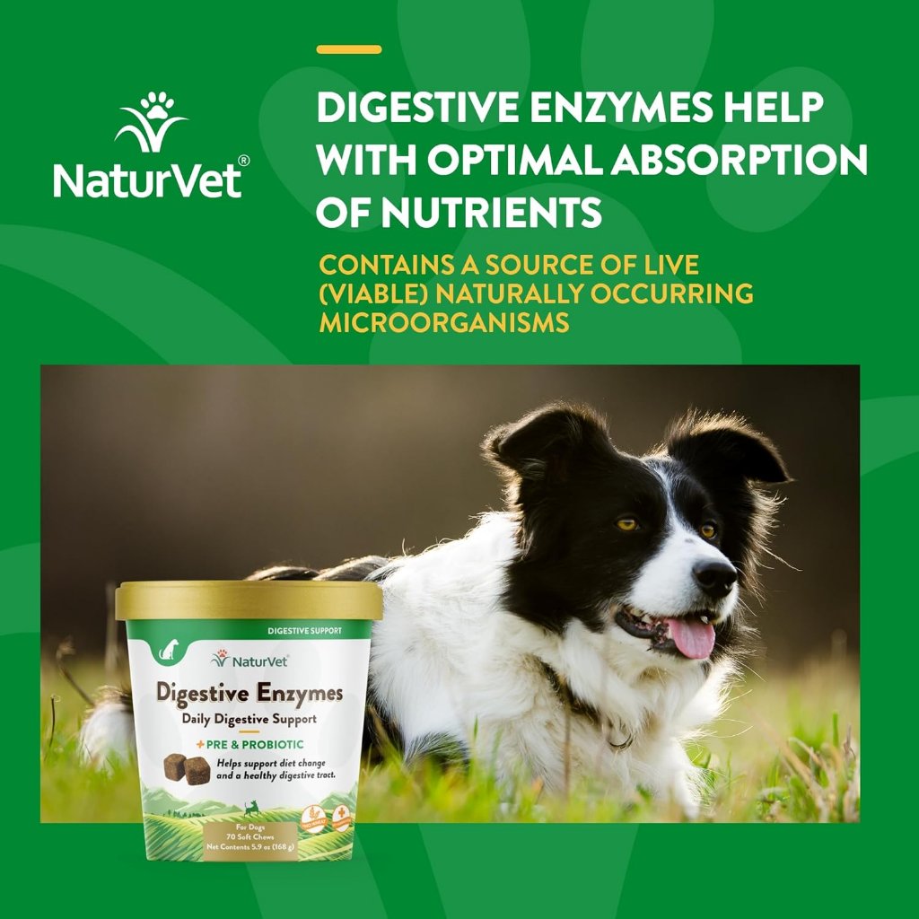 NaturVet Digestive Enzymes Soft Chews Daily Digestive Support with Pre & Probiotic for Dogs, 70 count