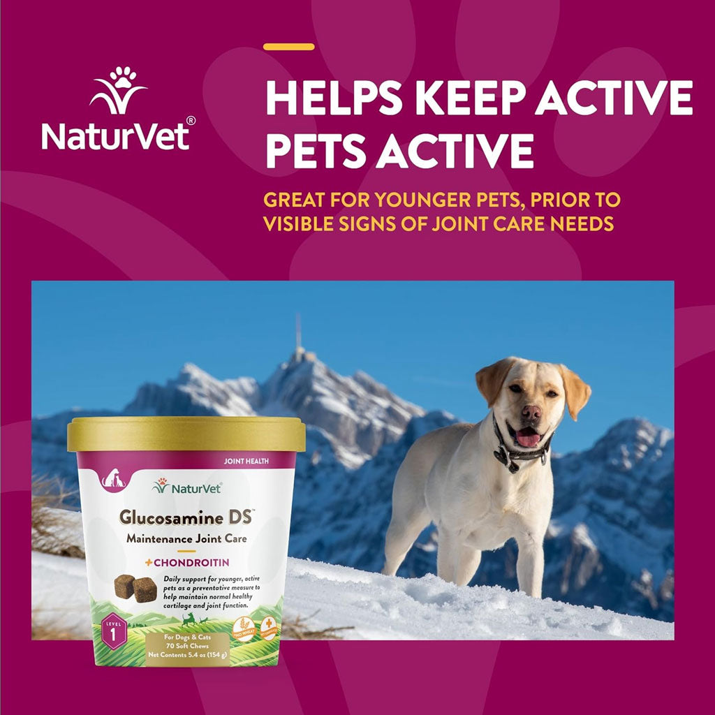 NaturVet Glucosamine DS Level 1 Soft Chews with Chondroitin for Dogs & Cats, 70 count