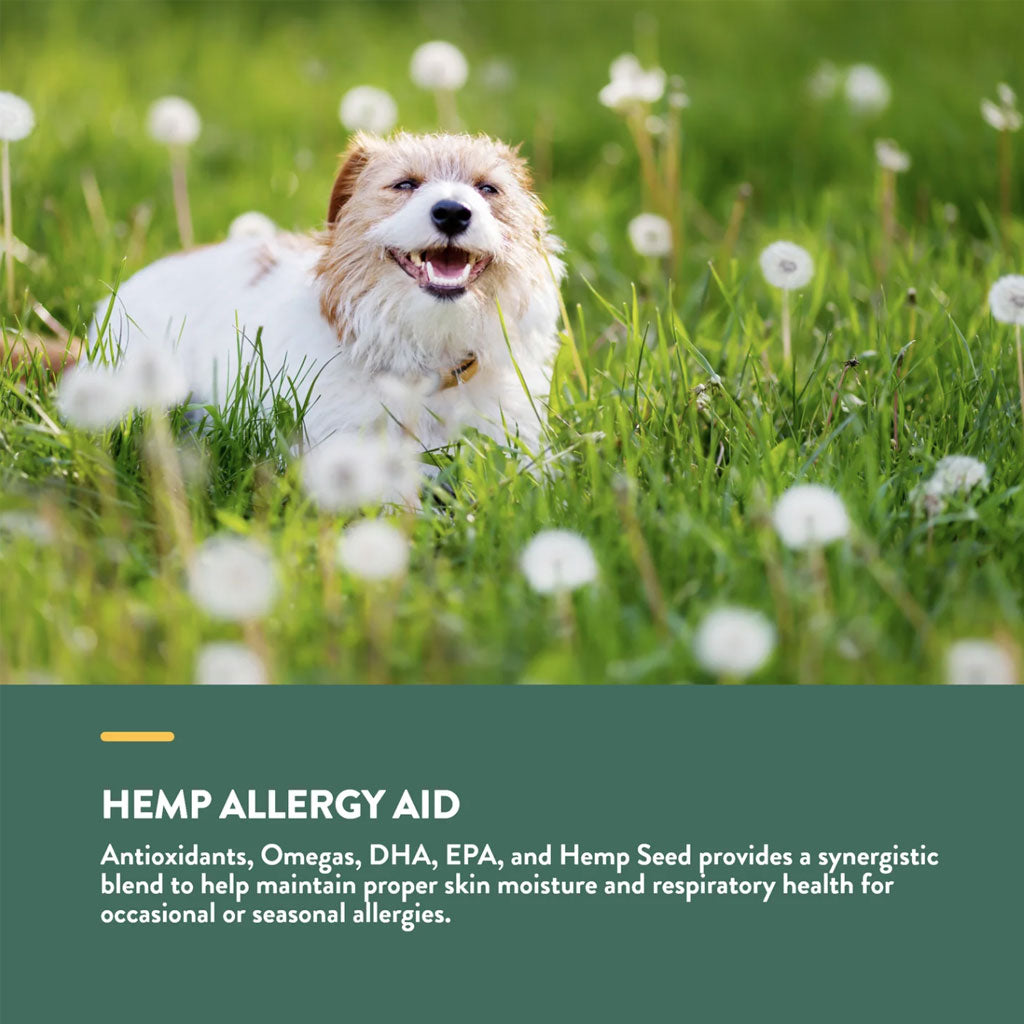 NaturVet Hemp Allergy Aid Hemp Seed Soft Chew for Dogs, 60 count