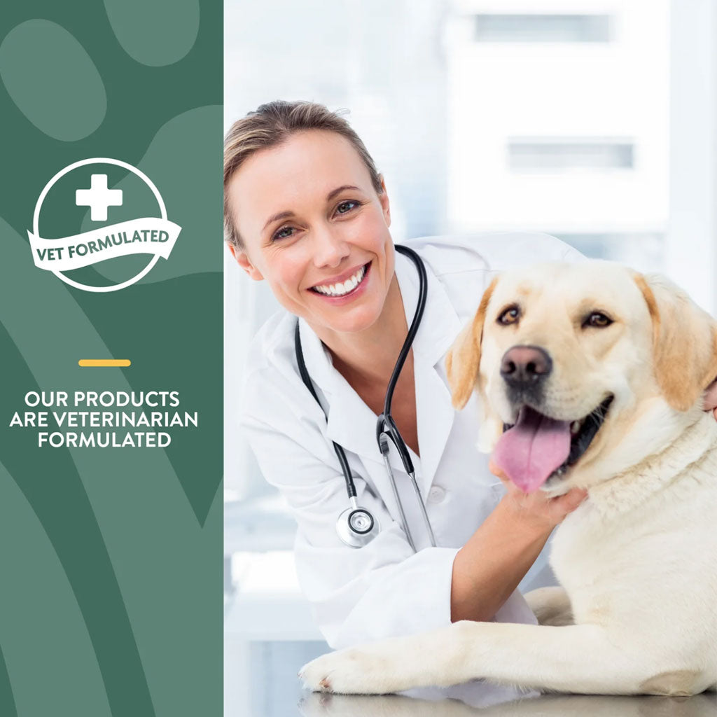 NaturVet Hemp Allergy Aid Hemp Seed Soft Chew for Dogs, 60 count