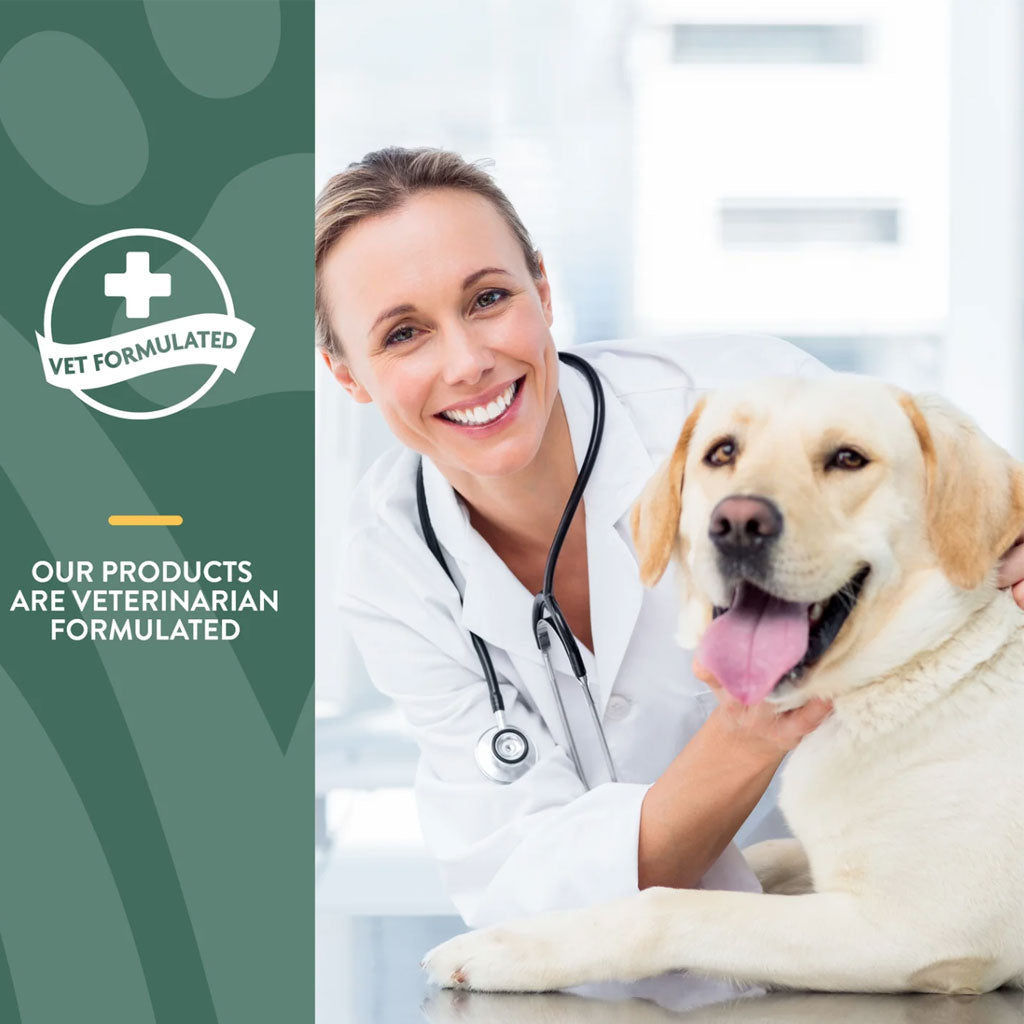 NaturVet Hemp Joint Health Plus Hemp Seed Soft Chews for Dogs, 60 count