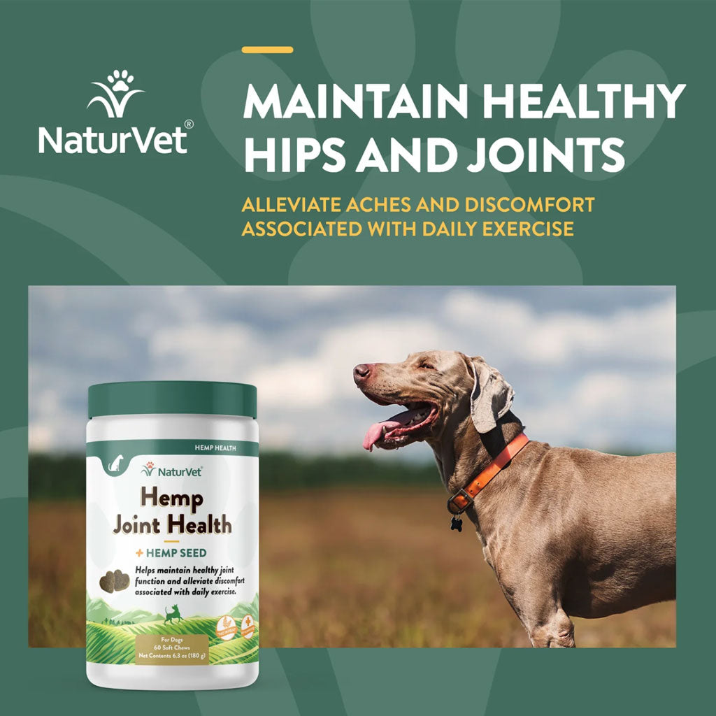 NaturVet Hemp Joint Health Plus Hemp Seed Soft Chews for Dogs, 60 count