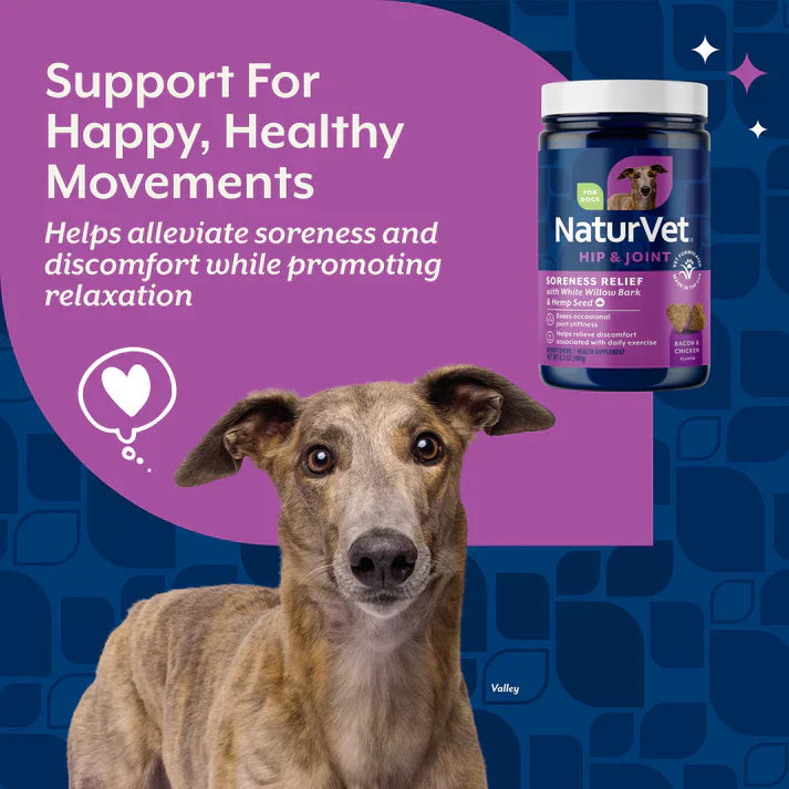NaturVet Hip & Joint Soreness Relief Bacon & Chicken Flavor for Dogs, 60 count