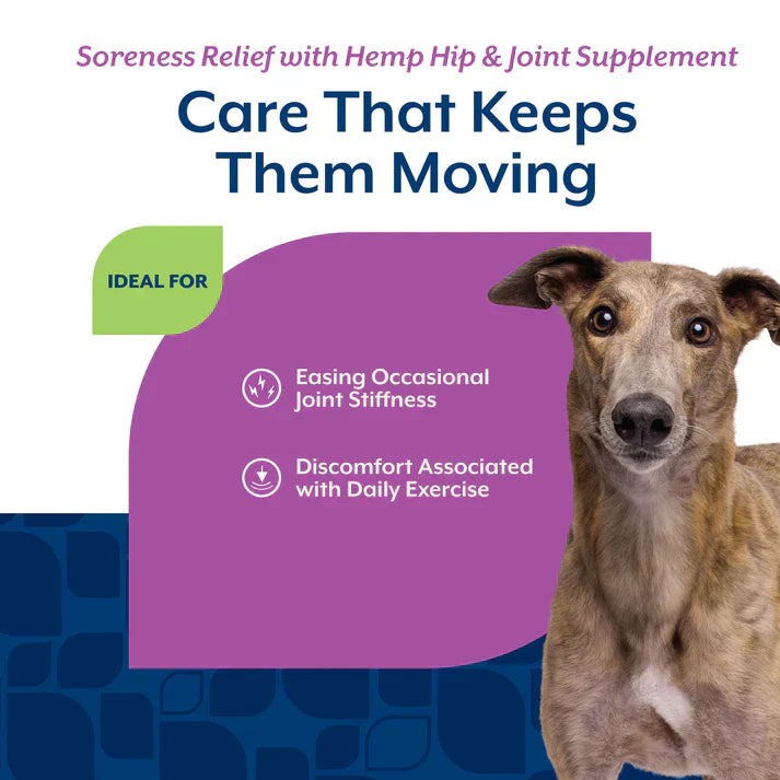 NaturVet Hip & Joint Soreness Relief Bacon & Chicken Flavor for Dogs, 60 count