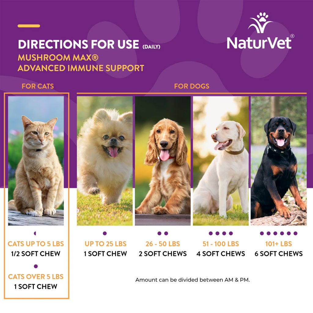 NaturVet Mushroom Max Advanced Immune Support Soft Chews for Dogs & Cats, 60 count