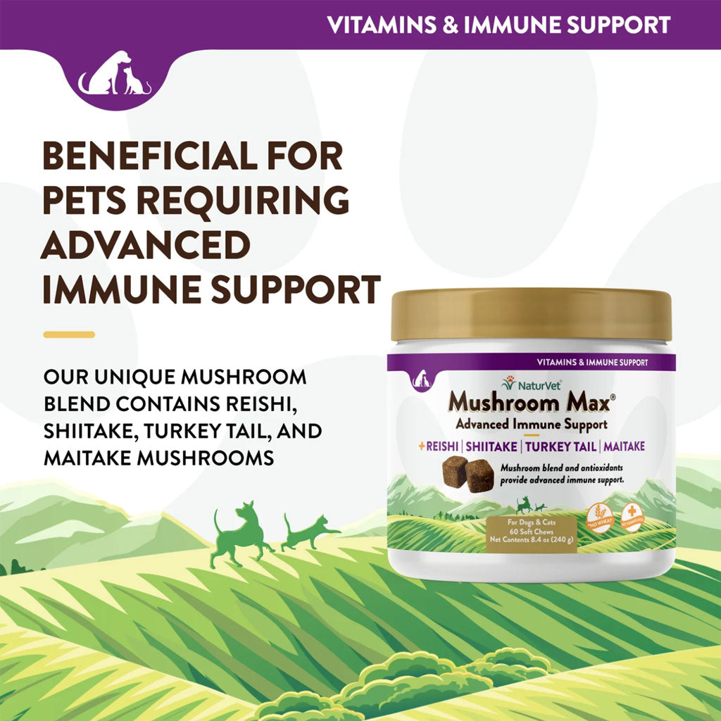NaturVet Mushroom Max Advanced Immune Support Soft Chews for Dogs & Cats, 60 count
