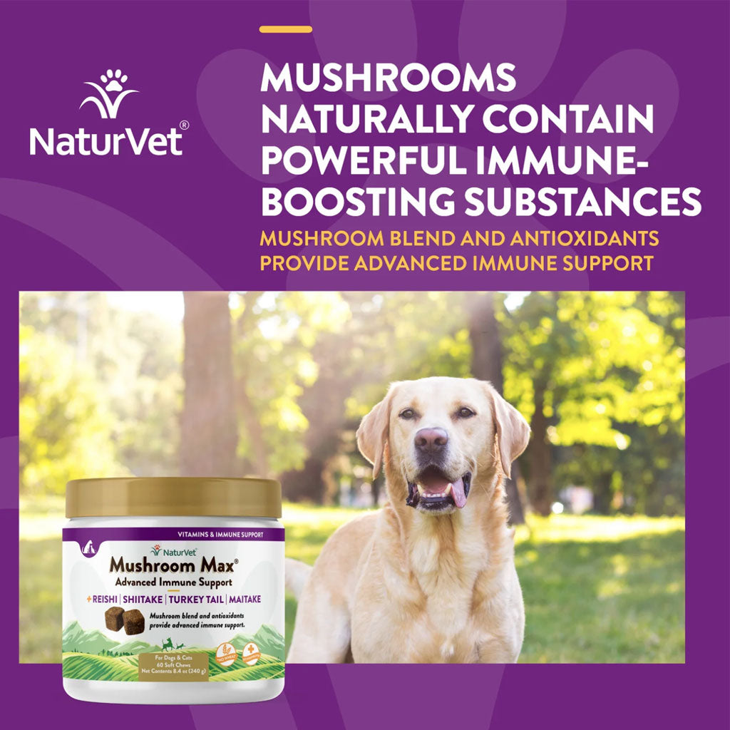 NaturVet Mushroom Max Advanced Immune Support Soft Chews for Dogs & Cats, 60 count
