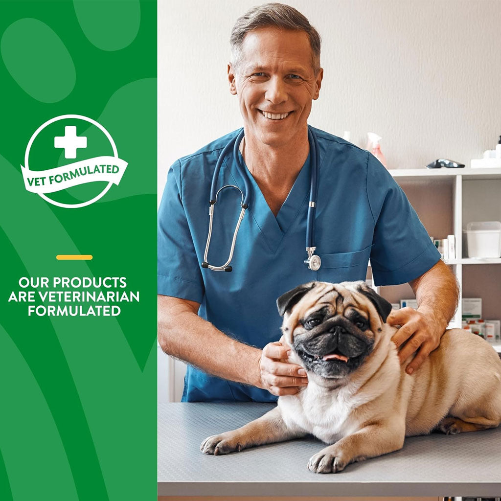 NaturVet No Scoot Soft Chews Anal Gland Support with Pumpkin for Dogs, 60 count