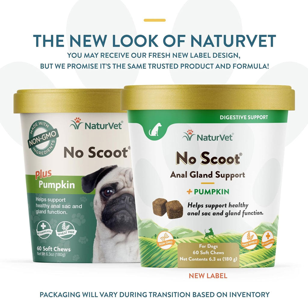 NaturVet No Scoot Soft Chews Anal Gland Support with Pumpkin for Dogs, 60 count