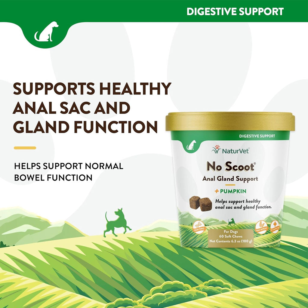 NaturVet No Scoot Soft Chews Anal Gland Support with Pumpkin for Dogs, 60 count