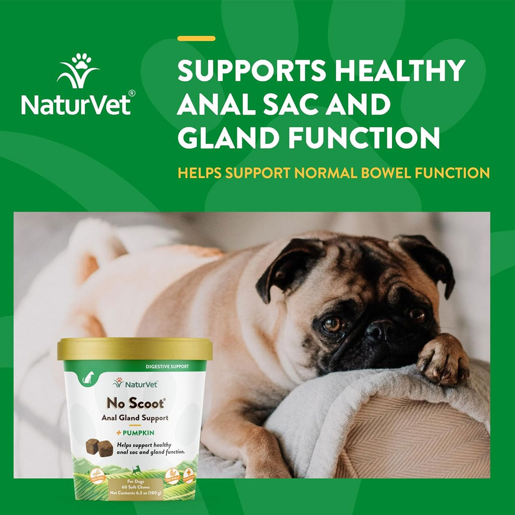 NaturVet No Scoot Soft Chews Anal Gland Support with Pumpkin for Dogs, 60 count