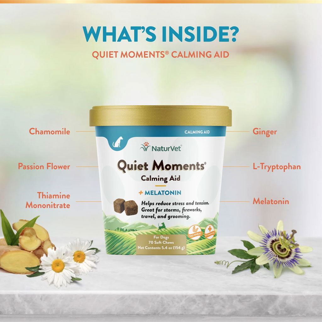 NaturVet Quiet Moments Calming Aid Plus Melatonin Soft Chews for Dogs