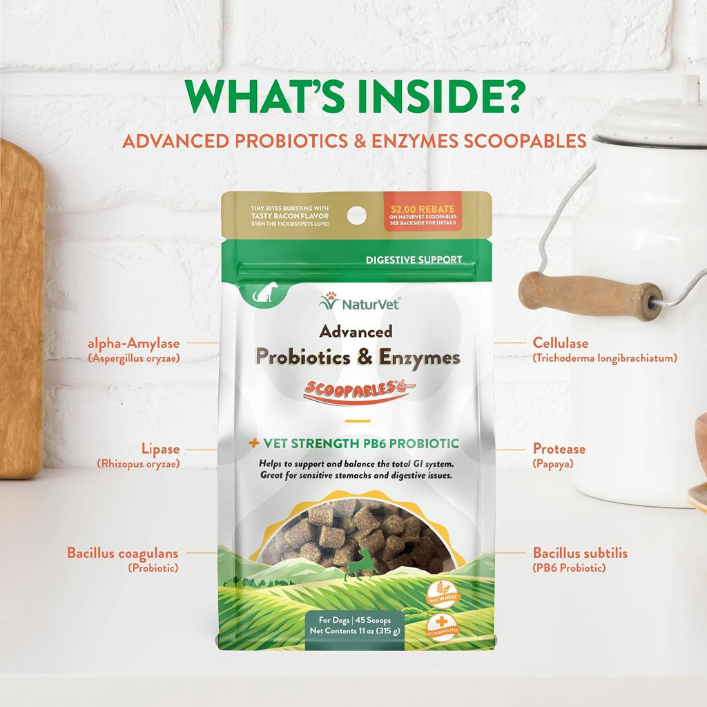 NaturVet Scoopables Advanced Probiotics & Enzymes Plus Vet Strength PB6 Probiotic for Dogs, 11-oz