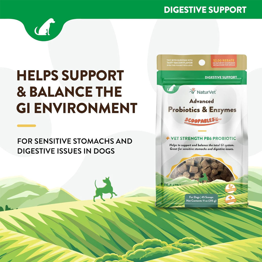NaturVet Scoopables Advanced Probiotics & Enzymes Plus Vet Strength PB6 Probiotic for Dogs, 11-oz
