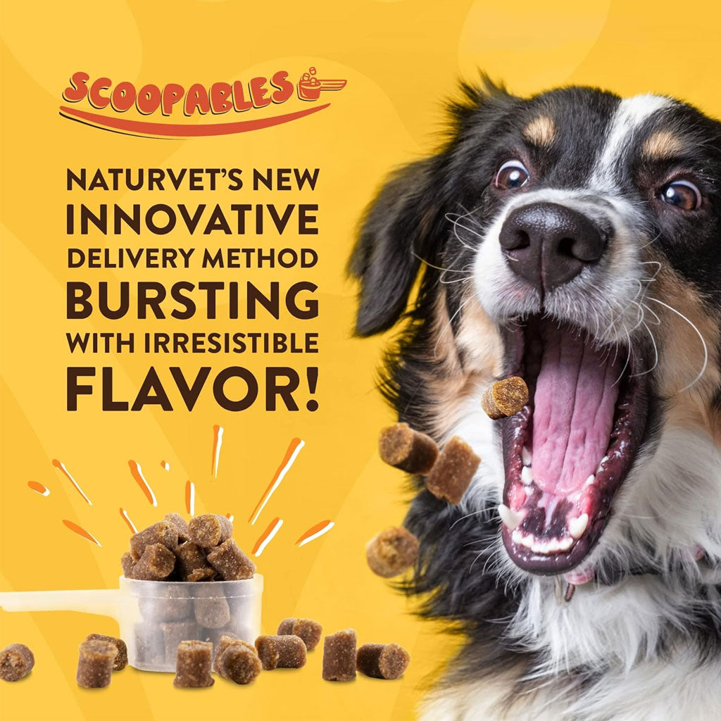 NaturVet Scoopables Advanced Probiotics & Enzymes Plus Vet Strength PB6 Probiotic for Dogs, 11-oz