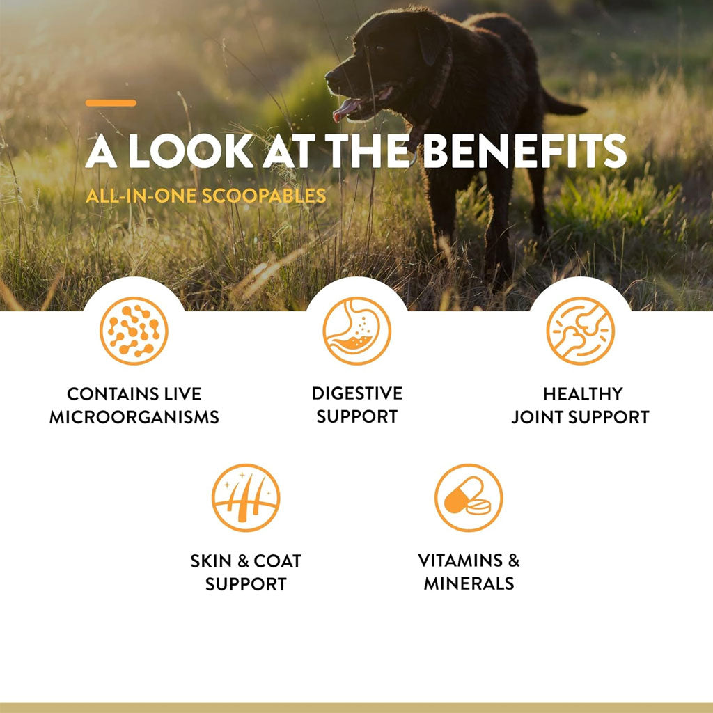 NaturVet Scoopables All-In-One Daily Essentials Plus 4-in-1 Support for Dogs, 11-oz